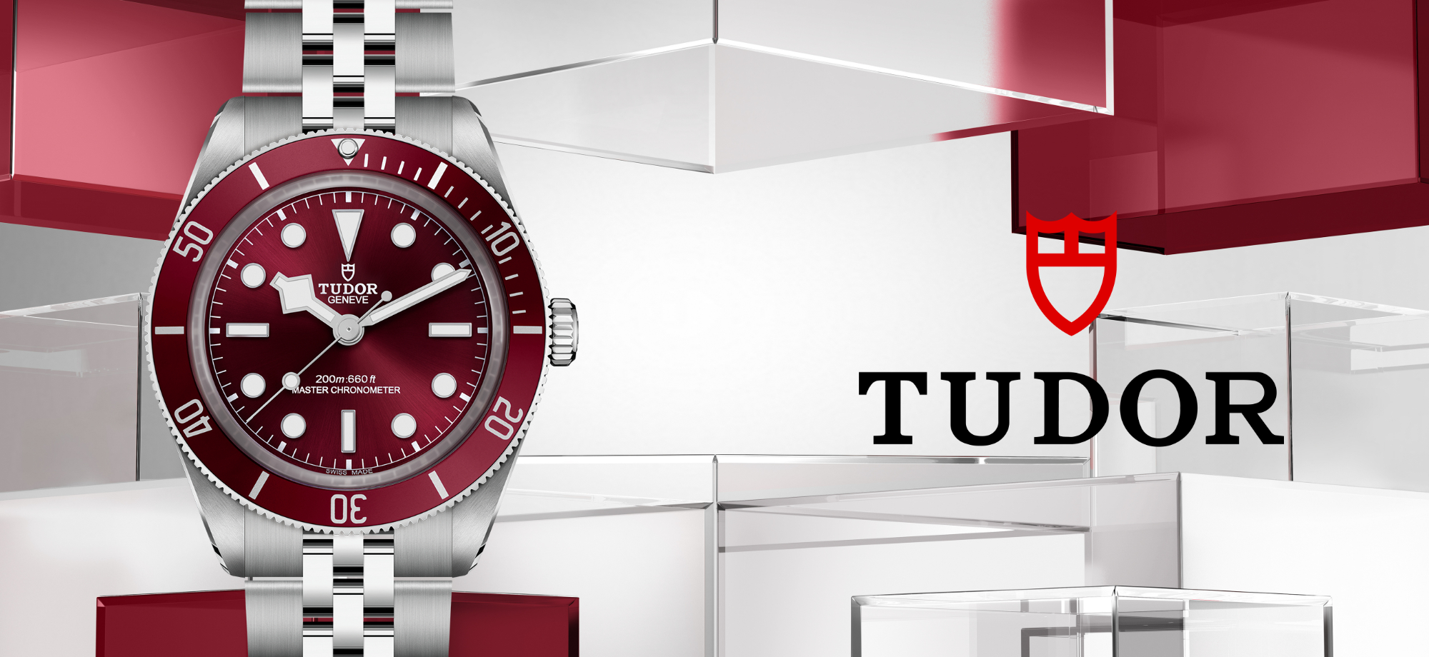 Tudor-banner